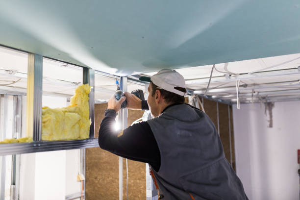 Best Spray Foam Insulation in Elmwood Park, NJ