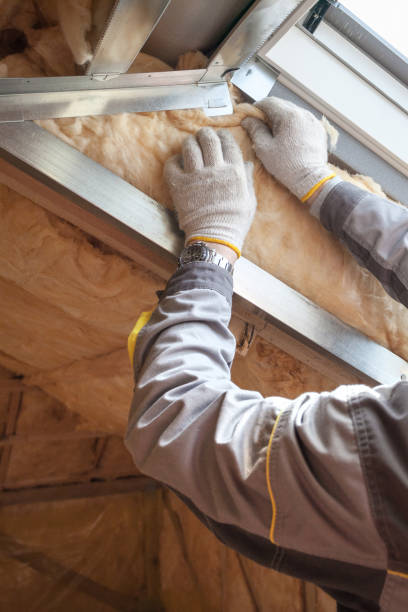 Best Geographic-Specific Insulation Services in Elmwood Park, NJ