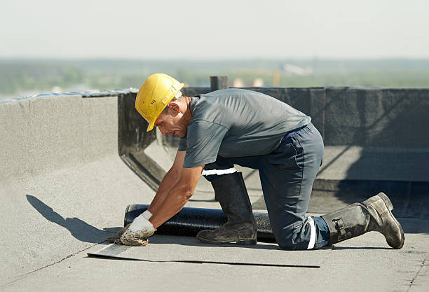 Best DIY Insulation Kits and Guidance in Elmwood Park, NJ